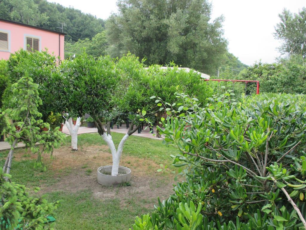 Palinuro Casa Vacanze "Donna Antonia" Екстер'єр фото